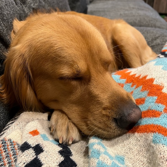 Meet your Posher, Kelley - Picture 5 of 5